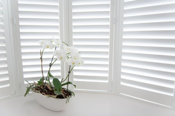 Interior Shutter Coating